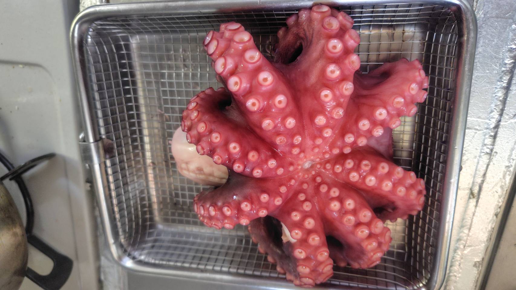 画像の説明 画像の説明